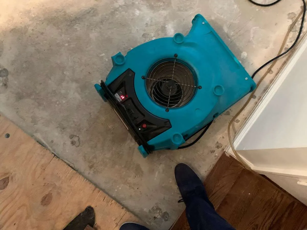 Air mover drying subfloor during Commercial Water Damage Restoration in Muleshoe